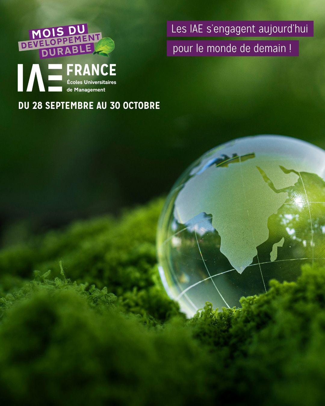 affiche mois dd 2026 iae france