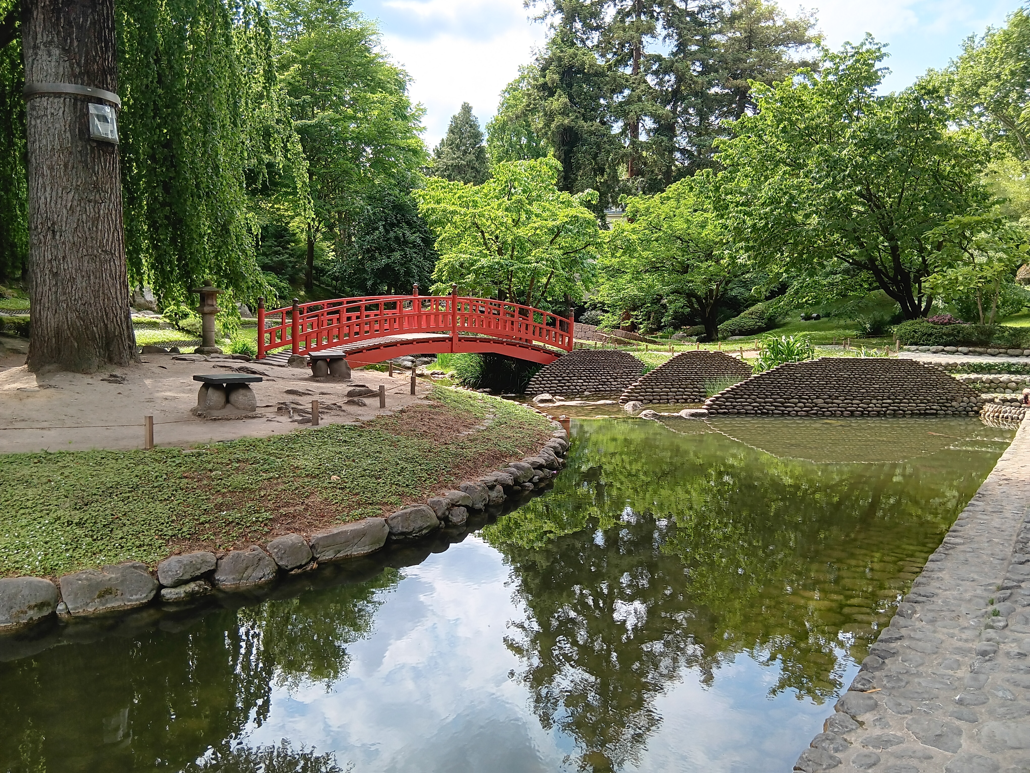 jardin