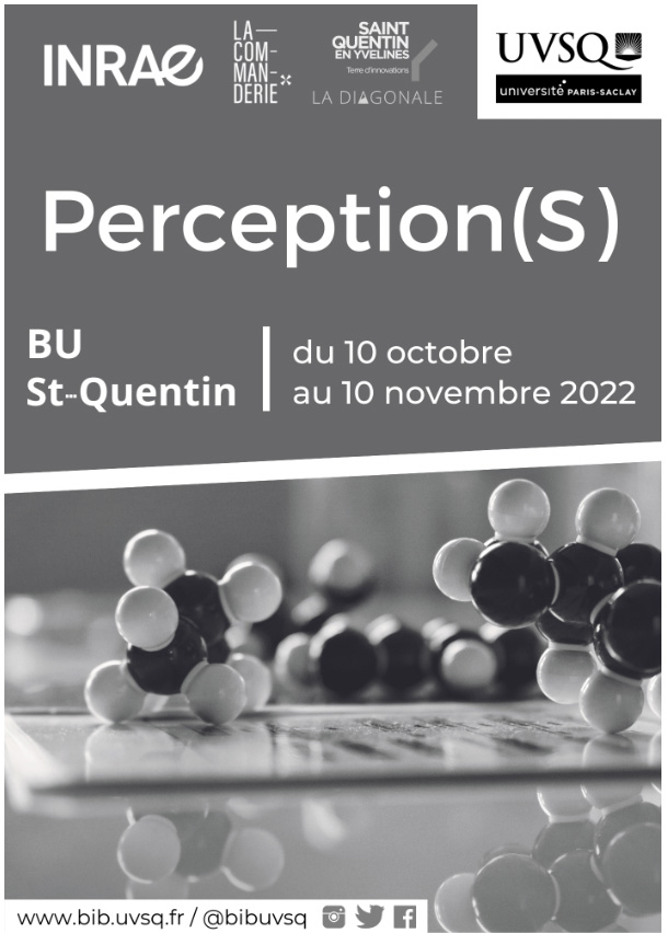 Affiche Expo Perception Recherche BU 2022