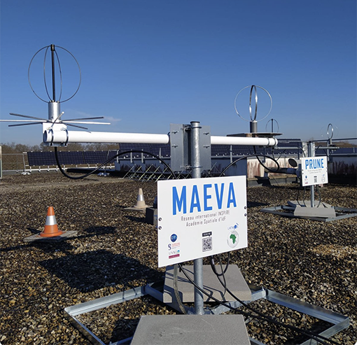 Antennes Maeva Prune