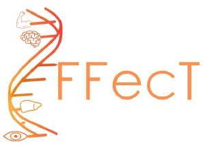 effect