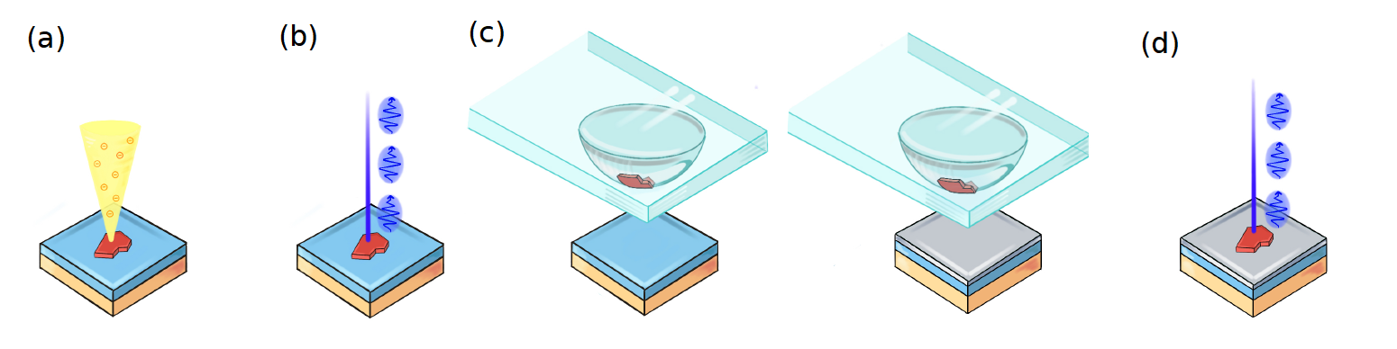 fig1