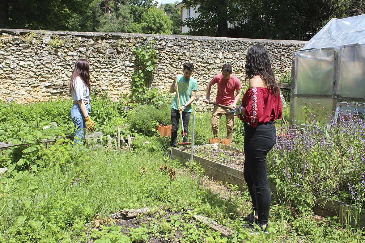 Jardin partagé