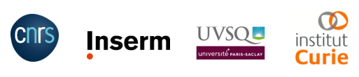 logos cuivre