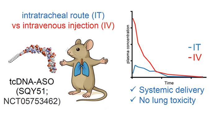 Figure étude Marcel Bonay et Thérèse Deramaudt Janv 2026