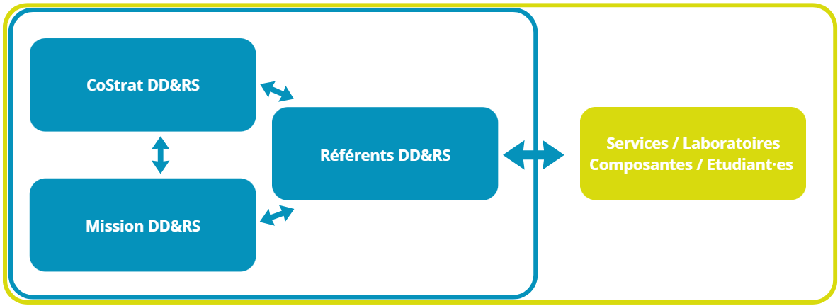 Organisation DD&RS
